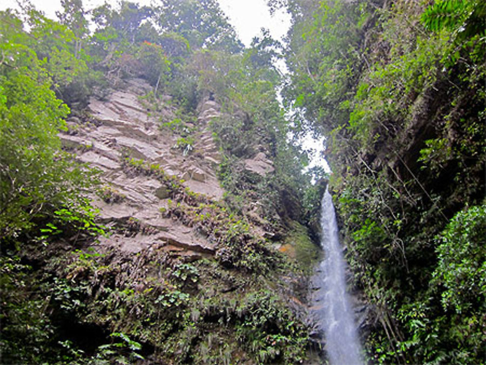 Les chutes de Ahuashiyacu