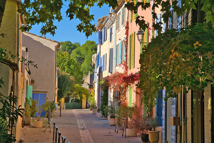 Balade au cœur des vignes à Puyloubier