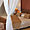 Photo hôtel Azura Hotel & Spa