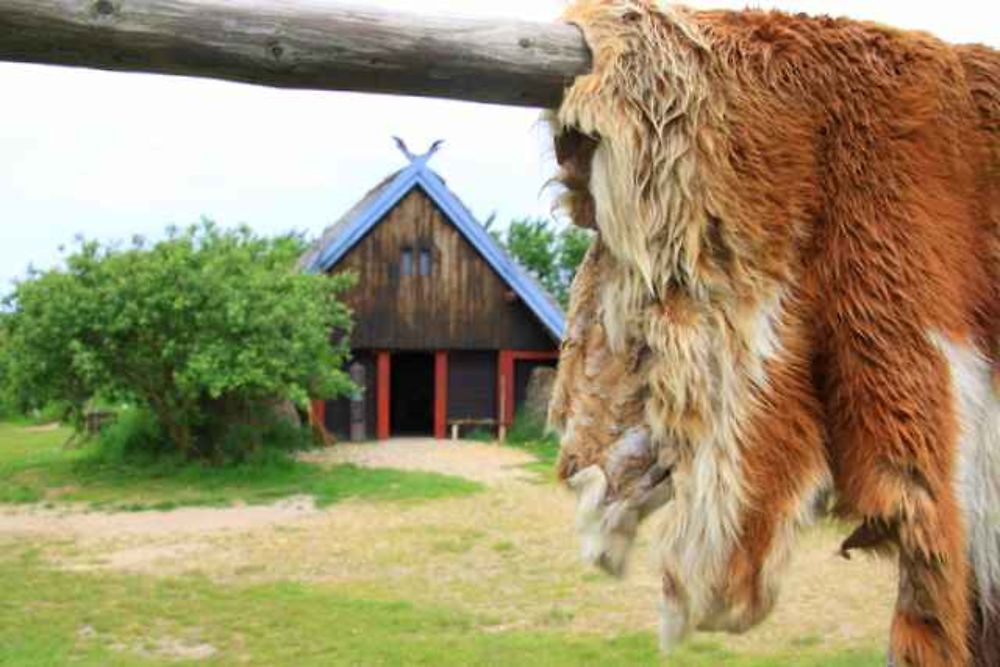 Village viking à Bork Havn / Nymindegab