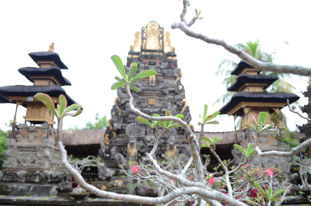 Temple Saraswati