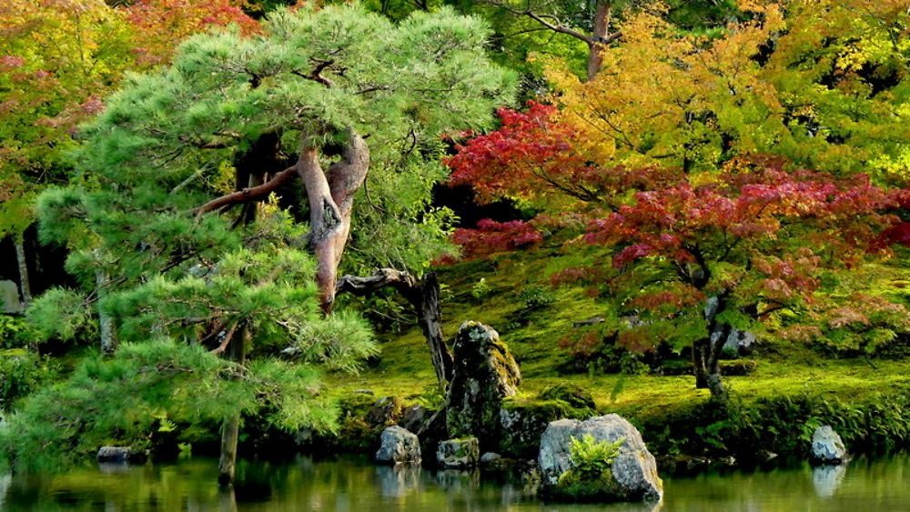 Temple Tenryo-Ji au Japon