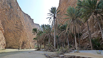 Wadi Shab