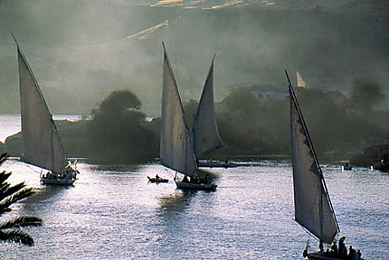 Felouques sur le Nil