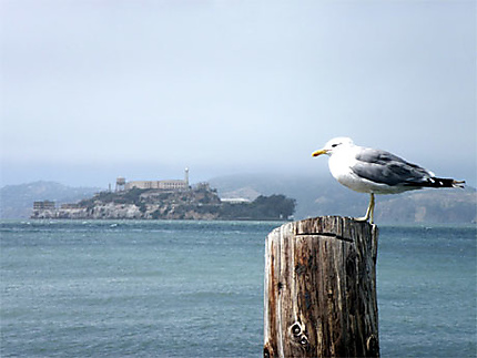 Gardien d'Alcatraz
