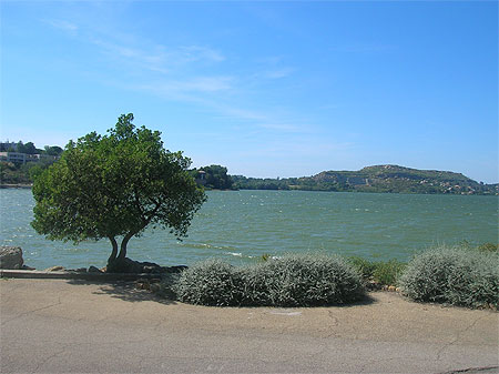 Etang de l'olivier Etang de l'olivier