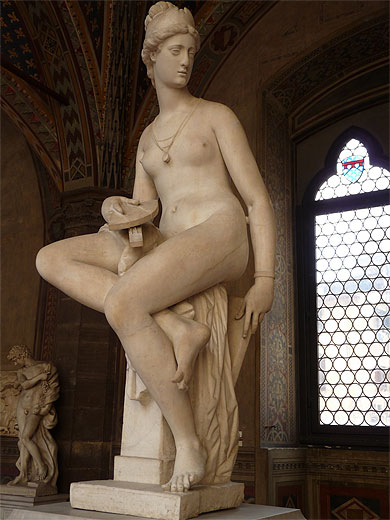 Venus Renaissance Venus Renaissance
