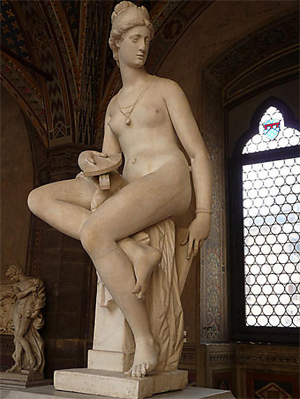 Venus Renaissance