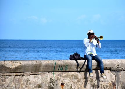 Musicien sur le Malecón 
