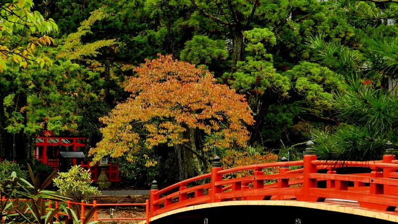 Un pont dans le jardin, Okuno-in, Japon