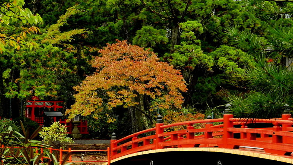 Un pont dans le jardin, Okuno-in, Japon