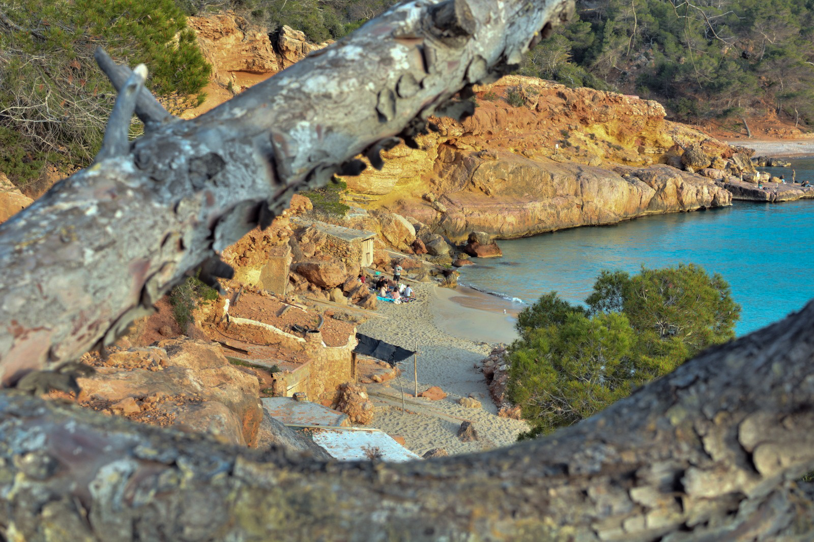 Cala salada Cala salada