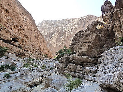 Wadi Shab