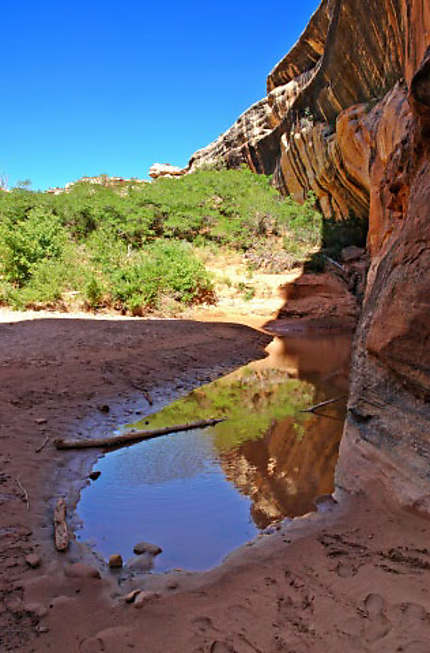 Natural bridges nat monument