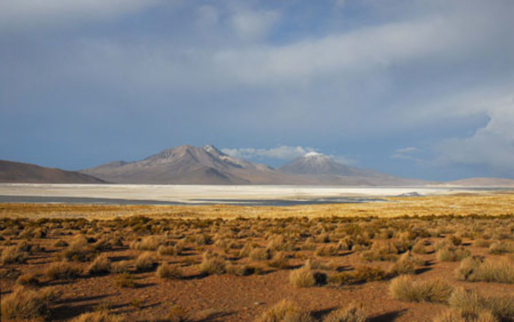 salar de Surire