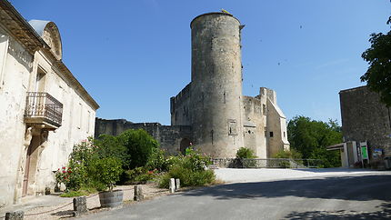 Château de Rauzan