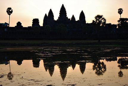 Splendeur d'Angkor