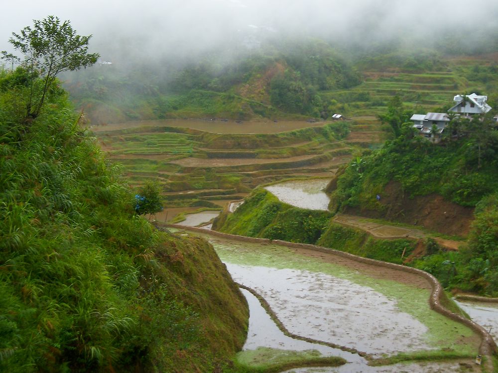 Rizières vers Hapao 