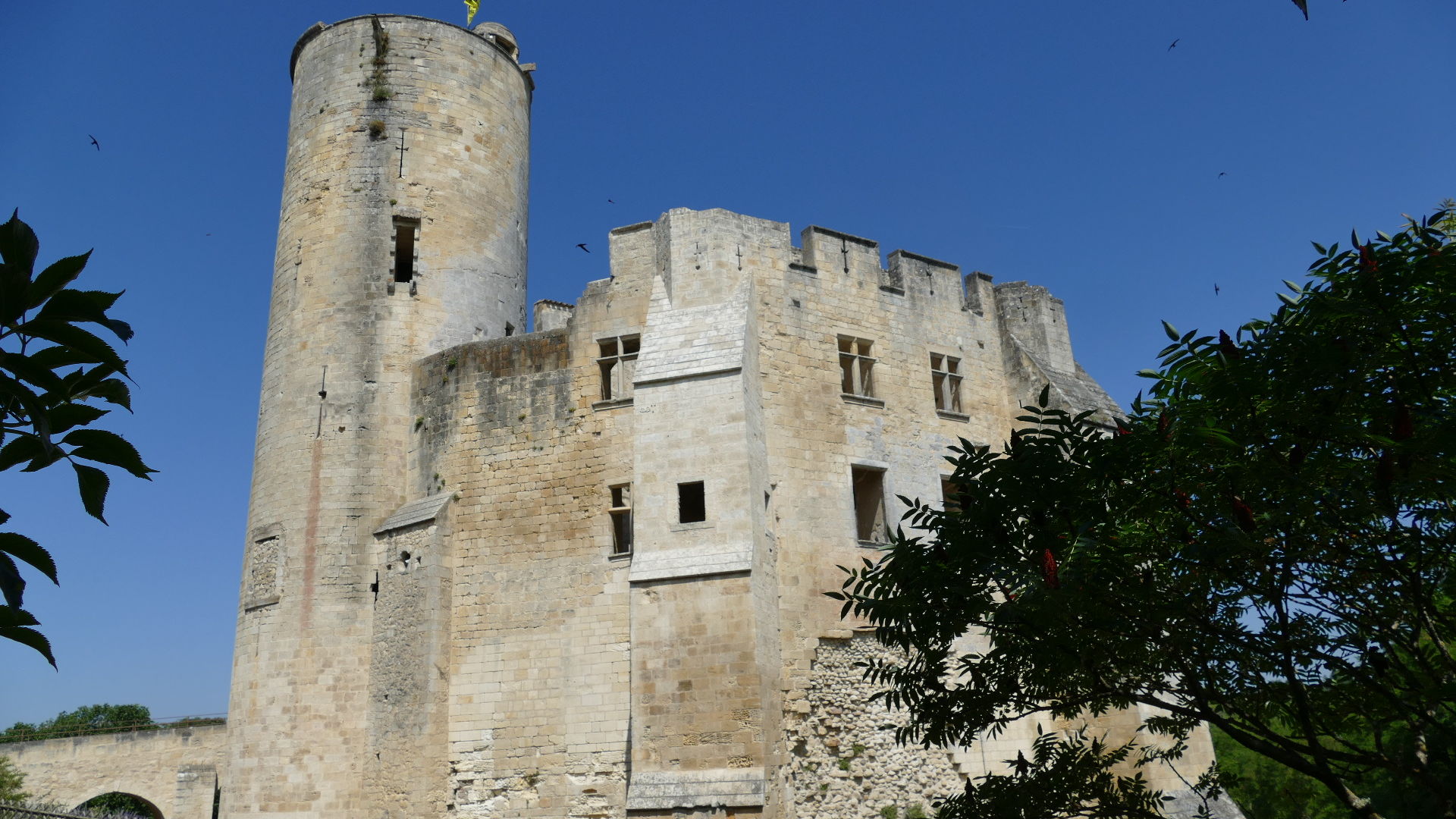 Donjon du château de Rauzan