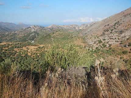 Montagnes aux environs d'Amigdali