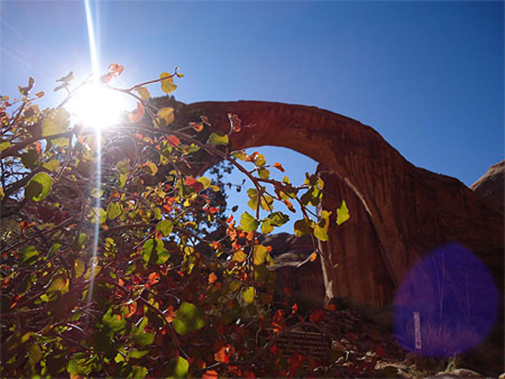 Lake Powell Rainbow Bridge