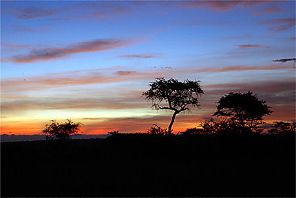 Lever de soleil sur le Serengeti