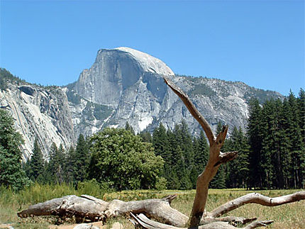 Half dome Yosemite park
