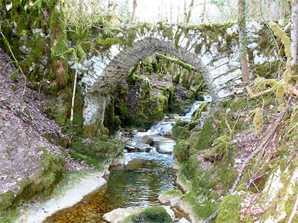 Ancien pont - Haut de Dramelay