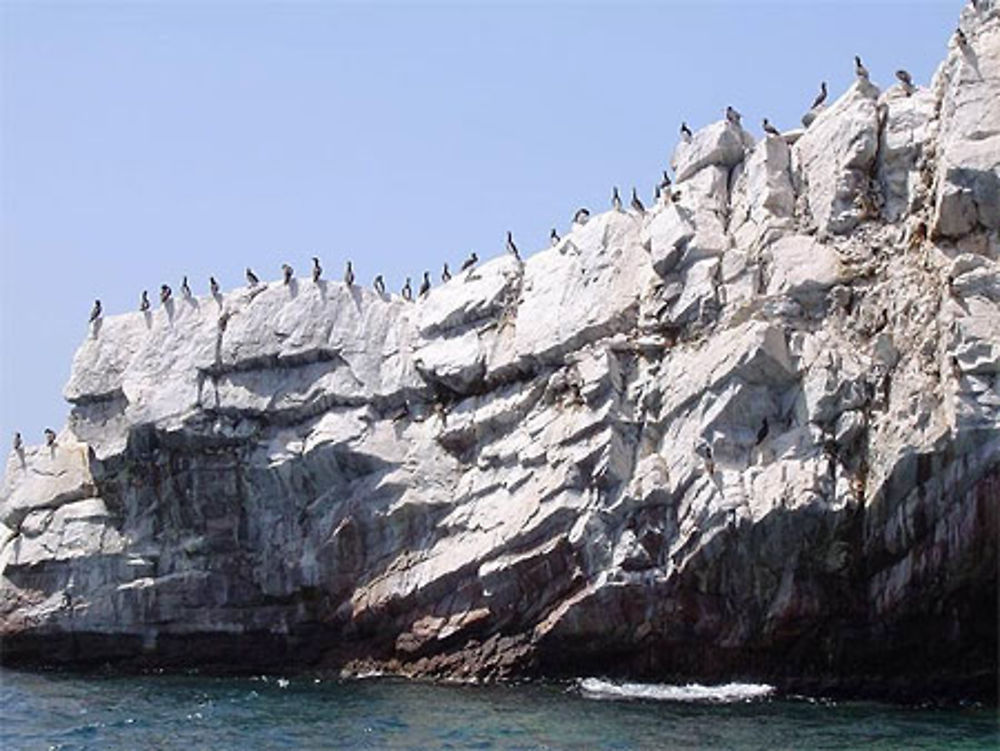 Une île bien gardée !