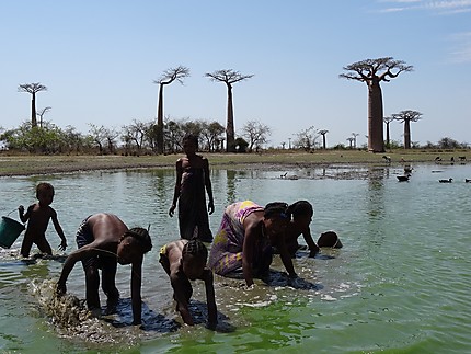 Morondava - Allée des baobabs - Pêche à la main