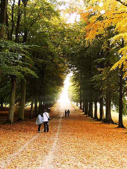 Paysage d'automne à Chatsworth House