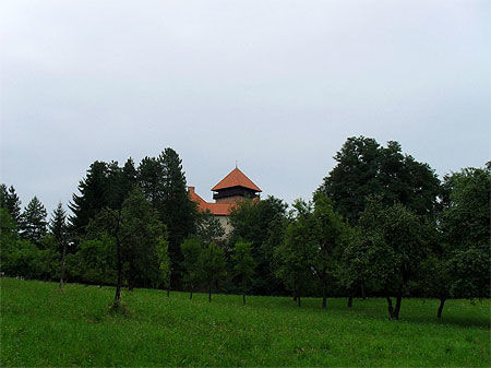 Le château de Dubovac
