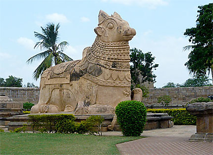 Le nandy de Kanchipuram