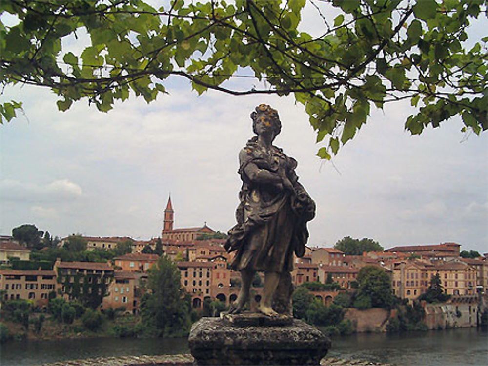 Jardins du Palais de la Berbie