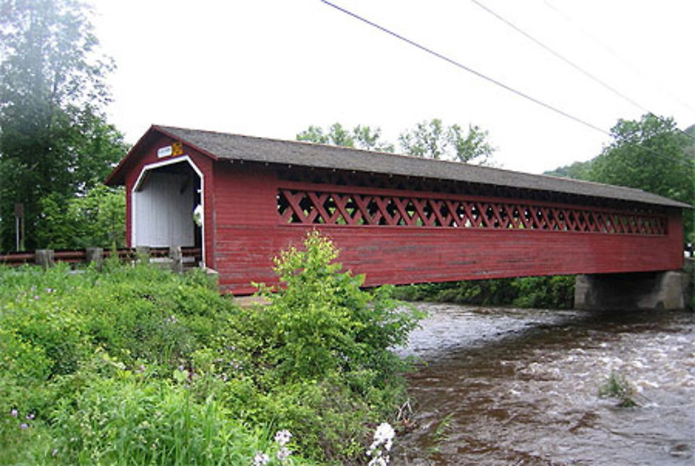 Henry Bridge 