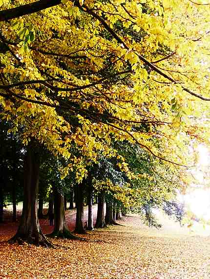 Jardins de Chatsworth House en automne