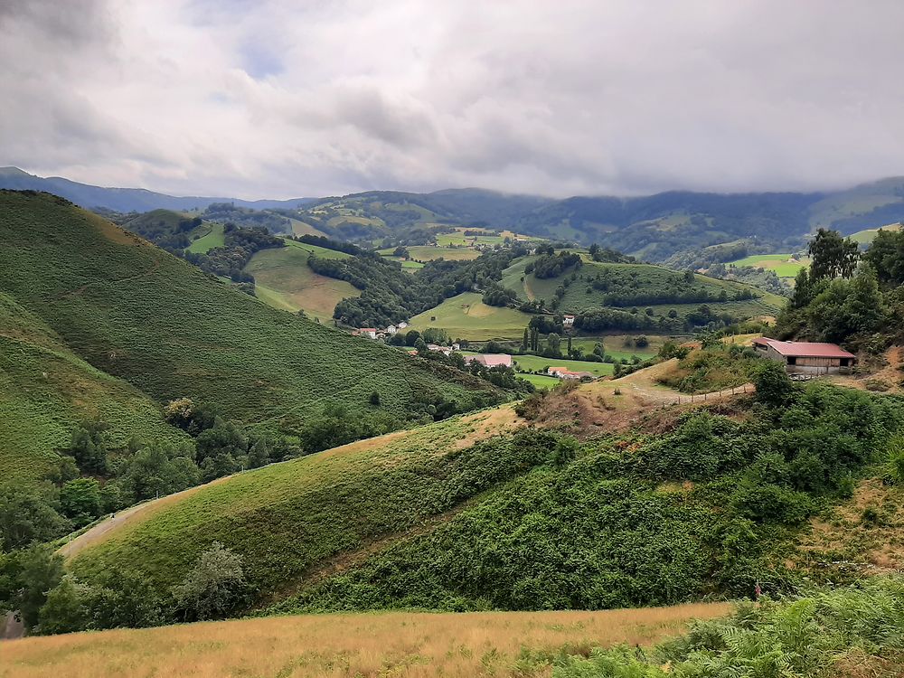 Sur le sentier du porc basque