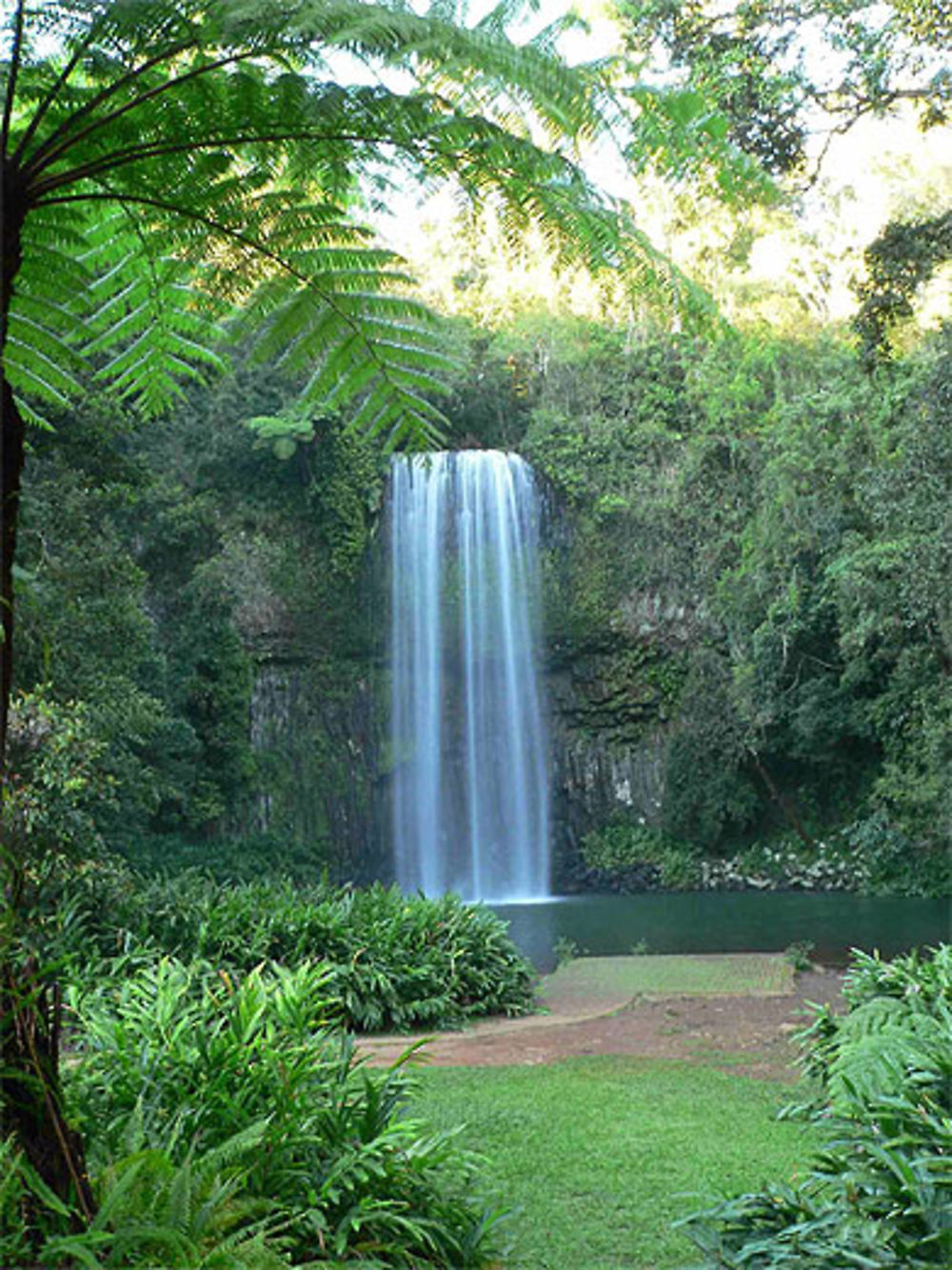 Un coin de verdure