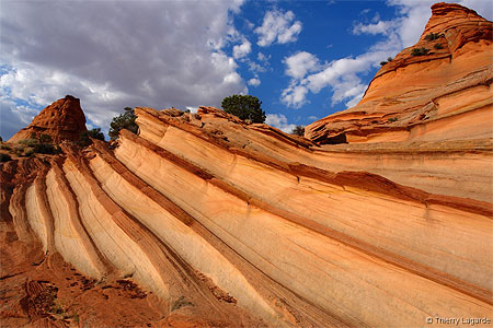 Paw hole: striations Paw hole: striations