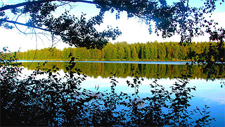 Vaasa Vaasa
