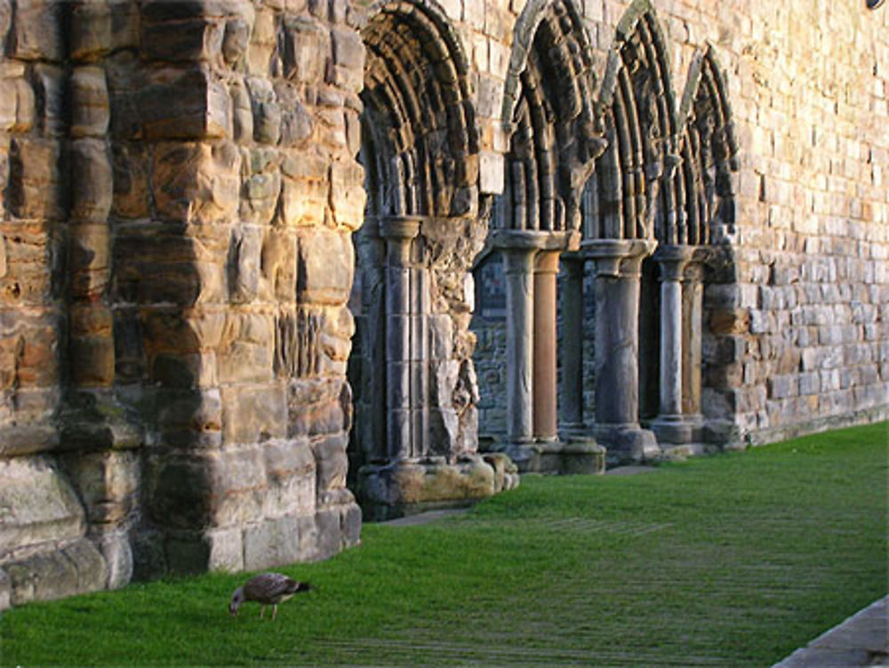 Cathédrale de St andrews