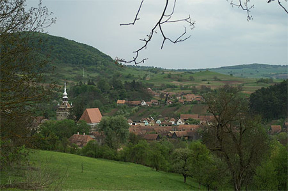 Vue de Saschiz