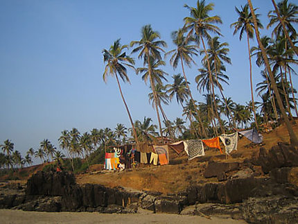 Cocotiers et tentures au vent à Goa