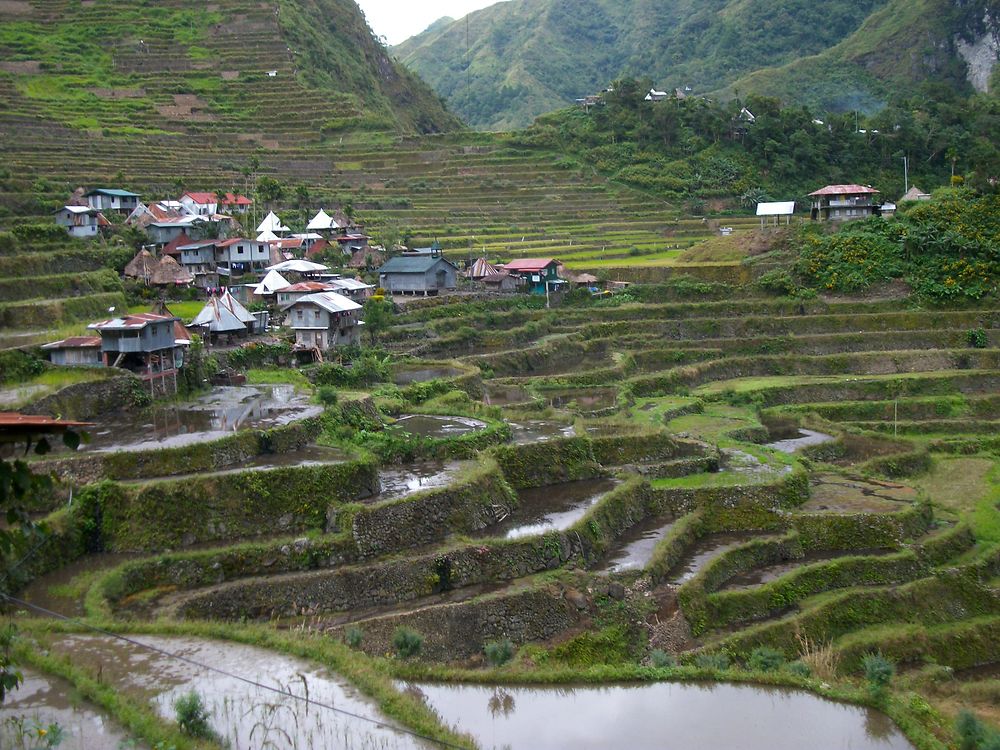 Rizières de Batad