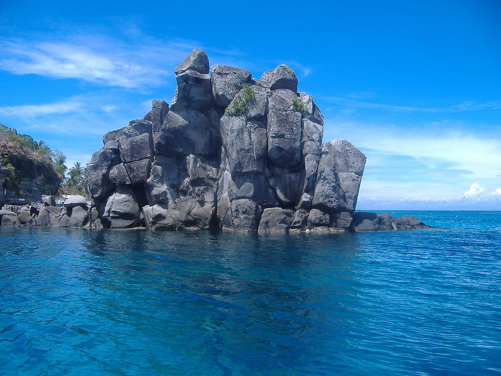 Apo Island