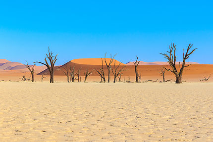 Dead Vlei