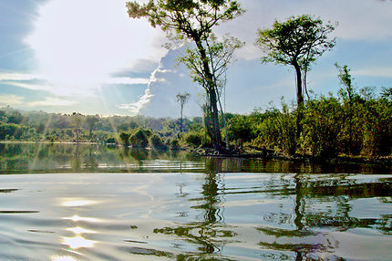 Affluent du fleuve Amazone