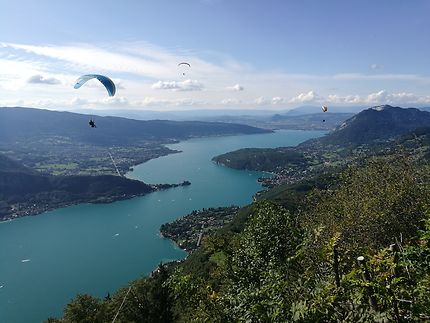 Ballet de parapentes au dessus du lac d'Annecy