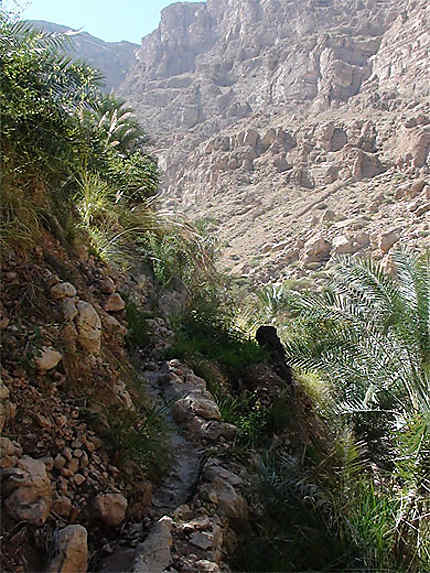 Ancien falaj au wadi Tiwi