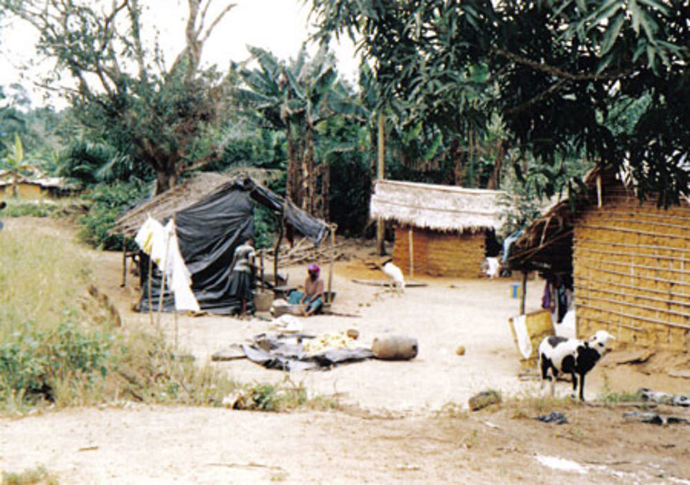 Village typique sur la route d'Assinie